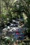 CostaRica06 - 054